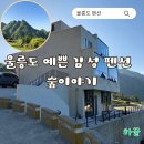 [여행] 울릉도 숙소:: 울릉도 여행 계획중 이라면? 펜션 추천! &#34;숲이야기&#34;