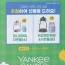 양키캔들전주 이미지