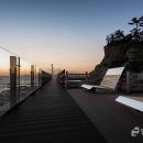 디자인 화성 일간경기