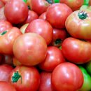 상술농장 이미지