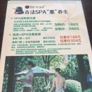 호텔 반월 | &lt;중국 온천 여행&gt; 반월산온천 호텔 부대시설 후기(호텔 스파/조식뷔페/낚시체험)
