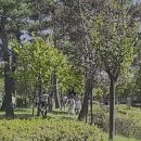 일원에코파크 네이버블로그