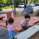 무궁화꽃이 피었습니다 &amp; 낙엽을 채집해요 이미지