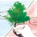 좋은나무 이미지