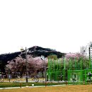 승학체육공원 이미지