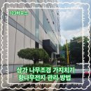 대한안전조경 | 상가 나무조경 가지치기 향나무전지 관리 방법