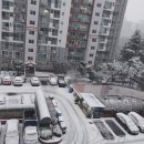 팔거천 산책로 | 칠곡설경, 팔거천 설경을 담았어요