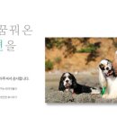 장군펜션 이미지