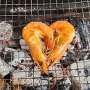 가평군재활용선별장 | 경기도가평)명지산카라반글램핑 뷰맛집/오페라하우스 내돈내산 솔직후기♥︎