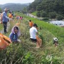 낙동강관리본부 대저생태공원 7 이미지