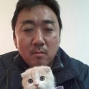 경기도 수원시 팔달구 아주로13번길 이미지