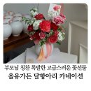 더조은요양병원 | 포항 어버이날 꽃 올유가든 고급스러운 달항아리 카네이션 내돈내산 후기