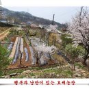 일도농장 이미지