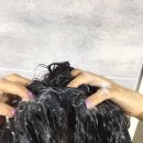 [리뷰] 출산후탈모엔 볼빅(BallVic) 더블유탈모샴푸 &amp; 볼빅플러스액플
