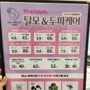 도노포레스타
