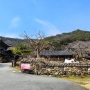 곡성-222 이미지