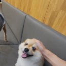 워니시티 이미지