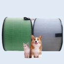 필DNP