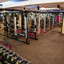 고릴라 짐 이미지