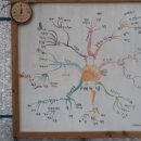 가람뫼농장 이미지