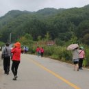 팔봉청삼골 돌배마을 이미지