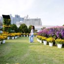 서구청 옥상생태공원 이미지