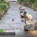 온노리 이미지