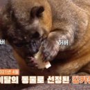 장수제일택시 이미지