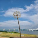 평택호관광단지 이미지