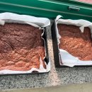 카페브런치지도사 자격증과정 이미지