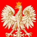 이도안경 이미지