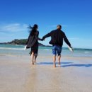 효리네 민박 이미지