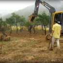 지천농장 이미지