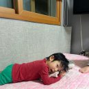 노을빛진산 이미지