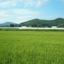 신지마을회관 이미지