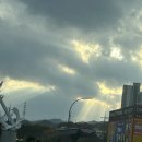 새천년낚시 - 양평군 경강로 2758-1 | 목금토 낚시후기