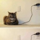 토스트앤후르츠 이미지