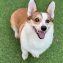 아이조아요양보호소 동탄점 이미지