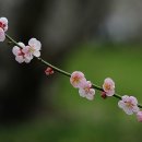 녹색농원 이미지