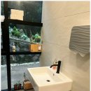 몽몽이엠파크 | 국내 정식 허가업체인 몽몽이엠파크 강아지장례다녀온 후기