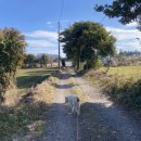 유순농장 이미지