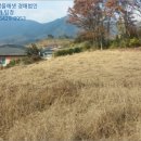 남산리 입석 이미지