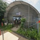 부천옥길 착한낙지 | 🐙 입맛 돋우는 착한낙지 부천옥길점 방문(내돈내산 후기)