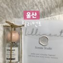 릴리먼트 - 중구 진골목길 12 | [울산] 릴리먼트 (기념일에 방문하기 좋은 향수공방)