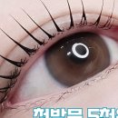 뷰티해빛