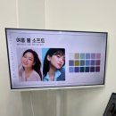 윤소프트 | 잠실 다채로윤 퍼스널컬러 내돈내산 - [베이직]퍼스널컬러 - 여름 쿨 소프트 후기