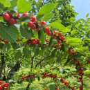 손주들농장 이미지