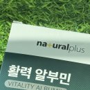 네츄럴하우스 | 마시는 알부민 추천｜내츄럴하우스 활력 알부민 솔직 후기