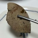 길에서 발견하면 반가운 순대트럭! ‘옛날가마솥순대’ 내돈내산 간단솔직후기(+순대차 요일,위치 정보)