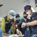 광석1리마을회관 이미지